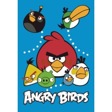 125664 vafa Angry Birds 30x20cm